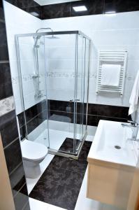 a bathroom with a shower and a toilet and a sink at Karat Inn Boutique Hotel in Baku