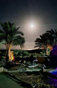 a pool with chairs and palm trees at night at BlueMar in Almería