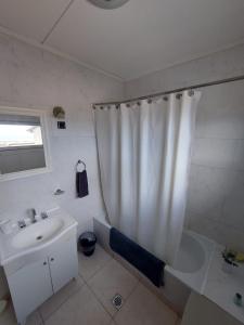 uma casa de banho com um lavatório e uma cortina de chuveiro em Habitación con Baño Privado - Frigo bar y sector para desayunar - Sin cocina em Ushuaia