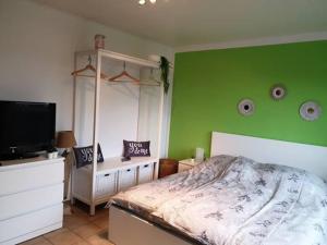 a bedroom with green walls and a bed and a tv at Nordsee Ferienwohnung an der Küste mit Inselblick in Dornum
