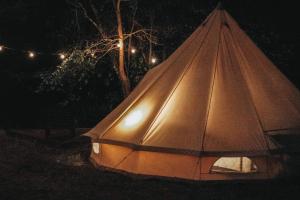 a teepee is set up in a field at night at Tent destroyed sorry 