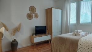 TV a/nebo společenská místnost v ubytování Azulejo Apartment