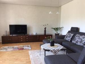 a living room with a couch and a flat screen tv at Casa Graf in Bad Emstal