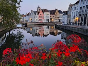 a river with buildings and red flowers in a city at Butterfly in Bruges