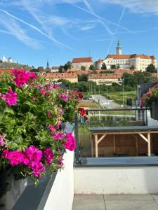 Fotografie z fotogalerie ubytování Apartmány Pod Novou v destinaci Mikulov