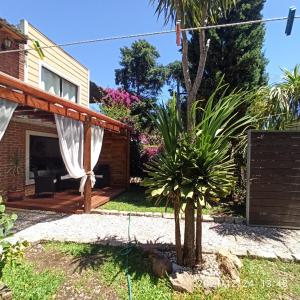 a palm tree in the yard of a house at Villa Anita Spa in Piriápolis