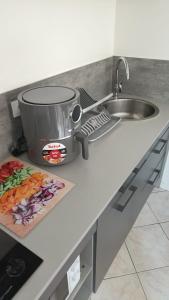 a kitchen counter with a slow cooker and a sink at charmant studio de 30 m2 très calme avec sa grande belle terrasse et son jardin PRIVATIF in Tremblay-En-France