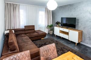 een woonkamer met een bruine bank en een flatscreen-tv bij Apartment Dresden 2OG links in Dresden