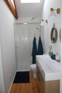 a bathroom with a shower and a sink and a toilet at Casas Velhas in Santo Aleixo de Além Tamega +62 photos