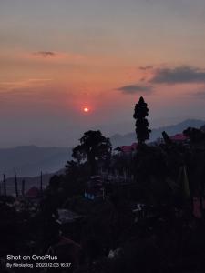a sunset over a city with a tree in the foreground at RKD HOMESTAY in Kurseong +1 photo