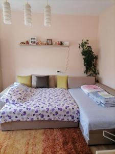 um quarto com duas camas e uma prateleira na parede em Apartman Visnja em Rudnik