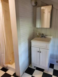La salle de bains est pourvue d'un lavabo et d'un miroir. dans l'établissement Charming & Rustic Bloomingdale Cottage w/views, 