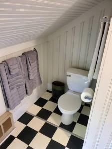 uma casa de banho com WC e toalhas num piso em xadrez em Charming & Rustic Bloomingdale Cottage w/views 