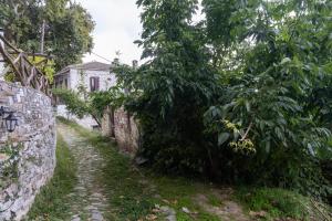 A garden outside Archontiko Michael Pelion