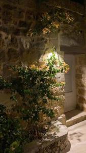 Fotografie z fotogalerie ubytování Unique Farmhouse in the Heart of Gozo - Nadur v destinaci Nadur