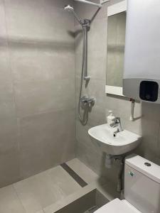 a bathroom with a shower and a sink and a toilet at Уютная студия в центре Кишинёва in Chişinău