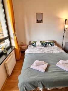 una camera da letto con un letto e due asciugamani di Cosy studios with mountain view near Bansko a Razlog