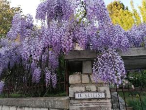Zahrada ubytování B&B Il Glicine
