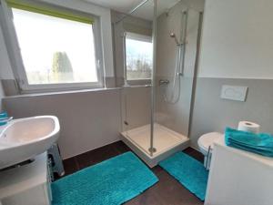 a bathroom with a shower and a toilet and a sink at Grünkraut Salzgeber in Ravensburg