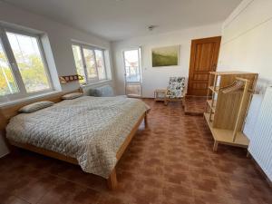 ein Schlafzimmer mit einem Bett und einigen Fenstern in der Unterkunft Apartmány U nemocnice in Budweis