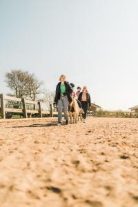 Eine Gruppe von Menschen, die mit ihren Hunden auf einem Feld spazieren gehen in der Unterkunft Büdlfarm - Der Familien-Erlebnishof in Strandnähe in Fehmarn