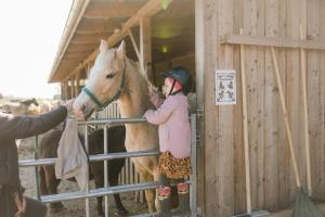 Una ragazza sta accarezzando un cavallo dietro una recinzione di Büdlfarm - Der Familien-Erlebnishof in Strandnähe a Fehmarn
