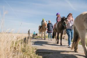 Un gruppo di persone che cavalcano su una strada sterrata. di Büdlfarm - Der Familien-Erlebnishof in Strandnähe a Fehmarn