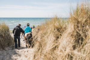 費馬恩的住宿－Büdlfarm - Der Familien-Erlebnishof in Strandnähe，一群人在海滩上骑大象