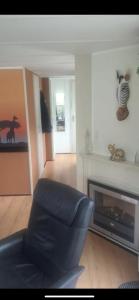 - un salon avec un canapé et une cheminée dans l'établissement Safarihuisje met airco!, à Oisterwijk