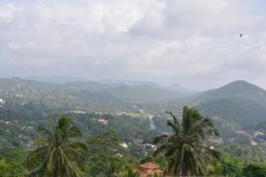 uma vista para um vale com palmeiras e montanhas em High View Homestay em Kandy