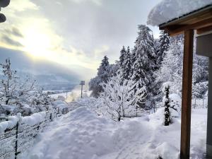 un cortile innevato con alberi coperti da neve e una recinzione di Ferienwohnung HÖLLWART - exclusiv, ruhige Lage, Panoramablick a Bischofshofen