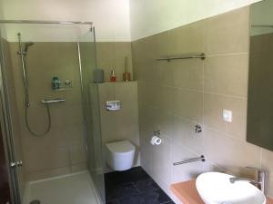een badkamer met een douche, een toilet en een wastafel bij Kärntner Bauernhaus in Panoramalage in Laas