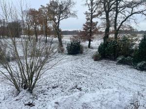 un patio cubierto de nieve con árboles y arbustos en Monteurwohnung Villa Waffi en Bippen