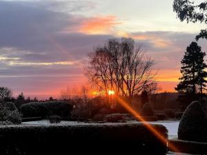 a sunset in a garden with the sun setting at Cosy Wee Cottage St Andrews 20 in Ceres