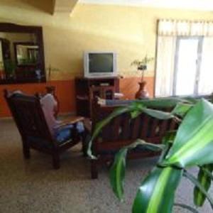 a living room with a tv and a plant at Hotel El Nogal La Falda in La Falda