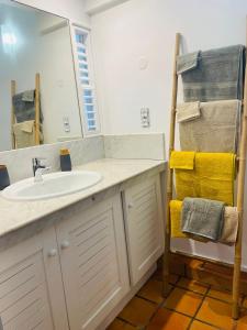 ein Badezimmer mit einem Waschbecken, einem Spiegel und Handtüchern in der Unterkunft TI BONHEUR DE TARTANE in La Trinité