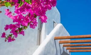 a bunch of pink flowers on a white building at Delmar Apartments & Suites Milos in Pollonia