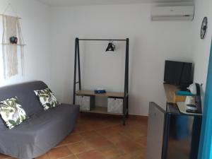 TV a/nebo společenská místnost v ubytování Les oliviers sous le cocotier chambre d'hôtes