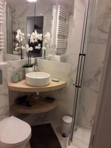 a bathroom with a sink and a shower and a toilet at Nid douillet parisien in Paris