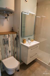 a bathroom with a sink and a toilet and a shower at Les Beaux Jours, Tours in Tours