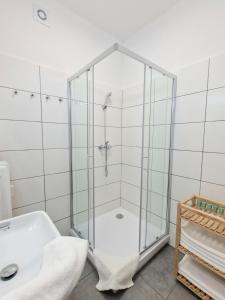 布拉提斯拉瓦的住宿－Princ next to President Palace，浴室内带玻璃淋浴间