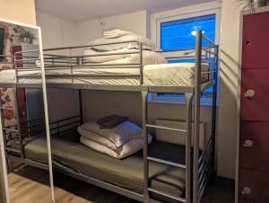 - deux lits superposés dans une chambre dans l'établissement Hostel Rooms In Camden, à Londres