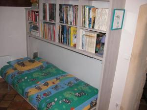 1 dormitorio con estantería de libros en studio au pied des troglodytes, près de la plage, en Saint-Chamas