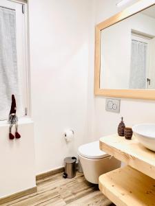A bathroom at Gloria Holiday Home Bormio