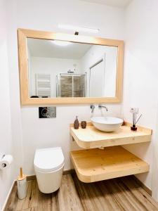 A bathroom at Gloria Holiday Home Bormio