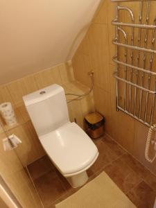 uma casa de banho com um WC branco num quarto em Na Dziole em Lipnica Wielka