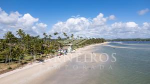 Eco Resort - Praia dos Carneiros في بريا دوس كارنيروس: اطلالة على شاطئ به نخل والمحيط