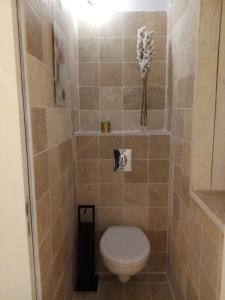 a bathroom with a toilet in a tiled shower at Ferme de la NOE in Sérigny +2 photos
