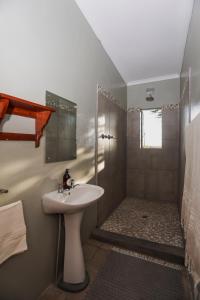 Ένα μπάνιο στο Leeurivier Veldhuis +27 φωτογραφίες