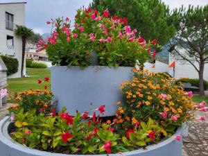a large planter filled with flowers in a yard at Apartment Villaggio Sureggio - App- C1 by Interhome in Lugaggia